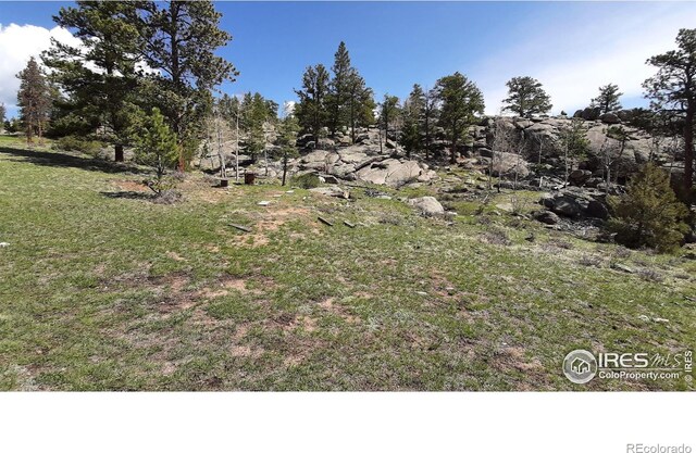 102 Mount Princeton Ct, Livermore, CO 80536 - photo 2