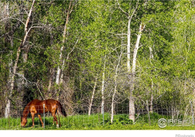 view of nature