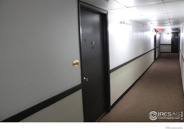 hall featuring a paneled ceiling and carpet flooring