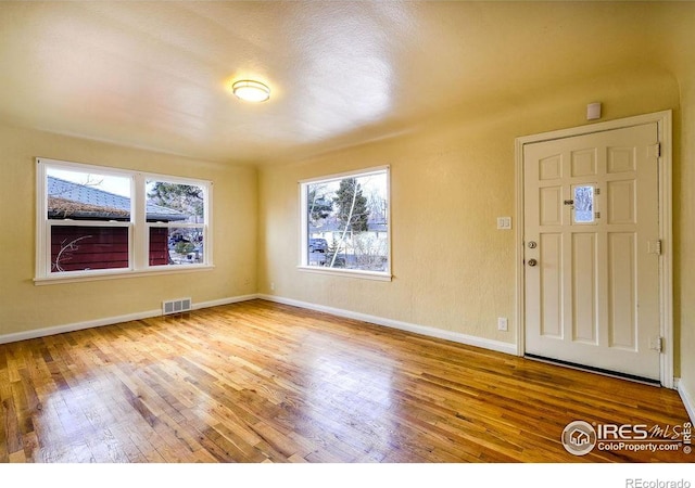 entrance foyer with hardwood / wood-style flooring