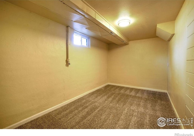 basement featuring carpet floors