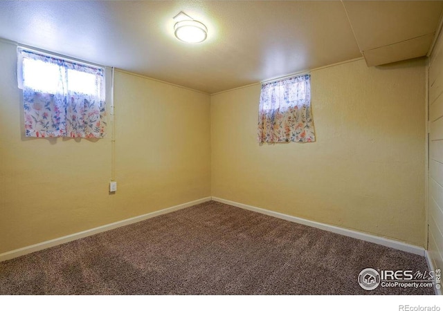 unfurnished room featuring carpet flooring