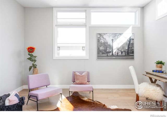 home office featuring light wood-type flooring