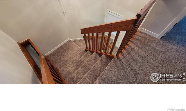 stairs featuring carpet