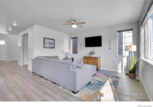 living room featuring ceiling fan and light hardwood / wood-style flooring