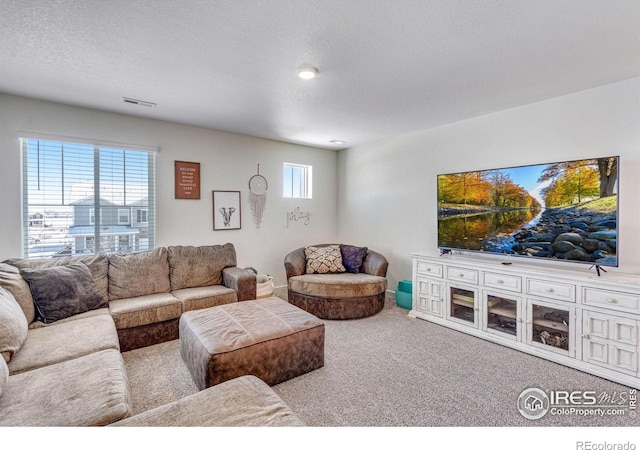 carpeted living room with a textured ceiling and a wealth of natural light