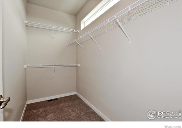 spacious closet featuring carpet flooring