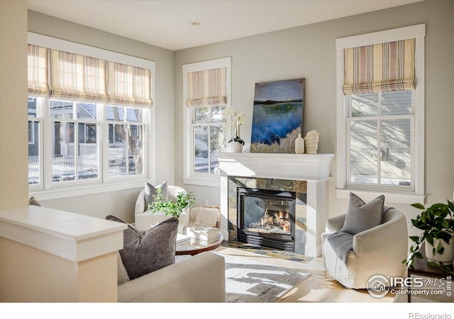 living room featuring a fireplace