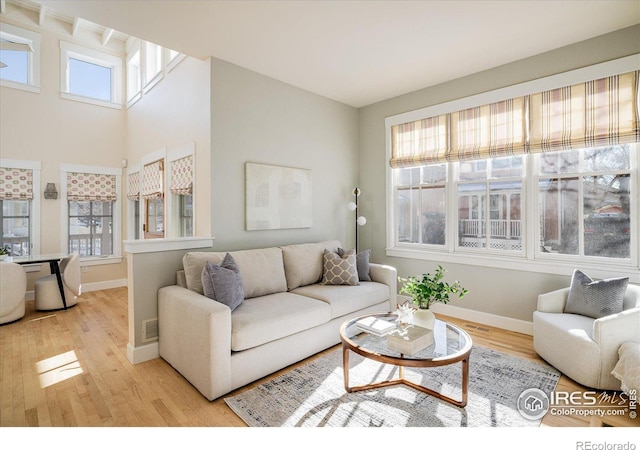 living room with light hardwood / wood-style floors and a wealth of natural light