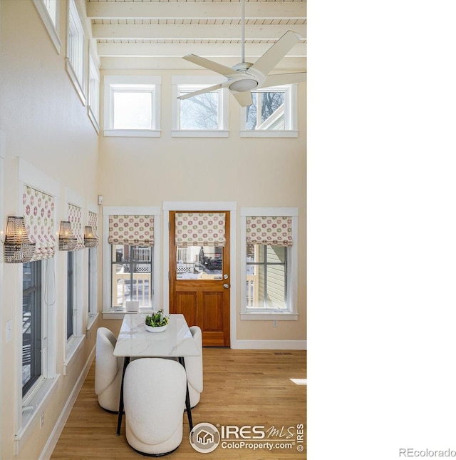 interior space with ceiling fan, light hardwood / wood-style flooring, and a wealth of natural light