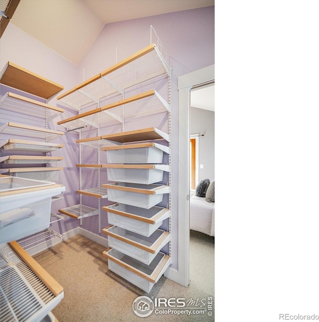 spacious closet featuring lofted ceiling and carpet