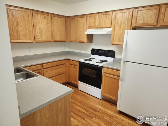 kitchen featuring white refrigerator, electric stove, light hardwood / wood-style flooring, and sink