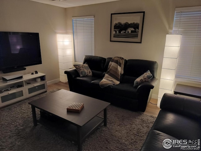 living room featuring wood-type flooring