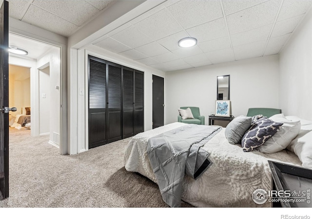 bedroom with carpet floors