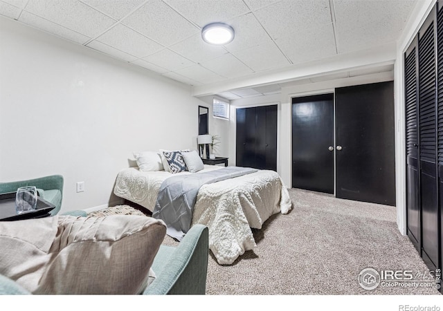 bedroom with carpet floors