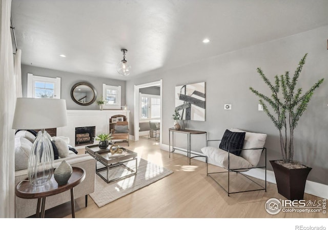 living room featuring light wood-type flooring and a fireplace