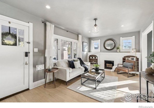 living room featuring light hardwood / wood-style floors and a healthy amount of sunlight