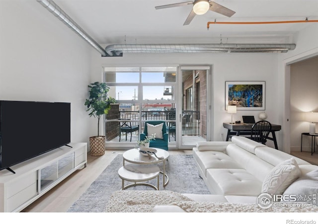 living room with ceiling fan and light wood-type flooring