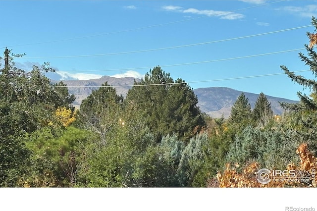 property view of mountains