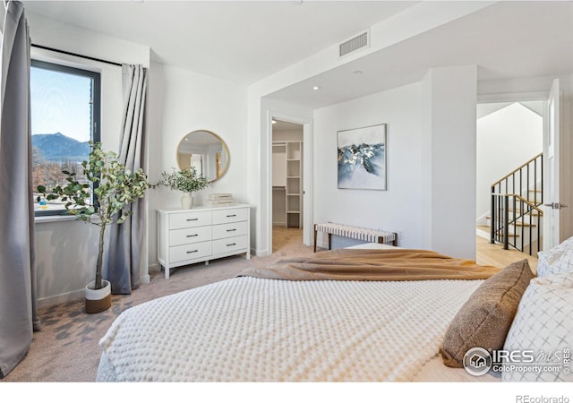 bedroom featuring light carpet, radiator heating unit, a mountain view, a spacious closet, and a closet