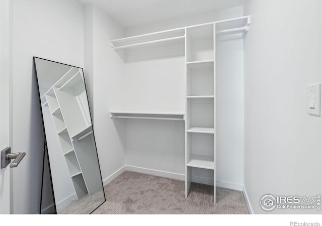 walk in closet with light carpet