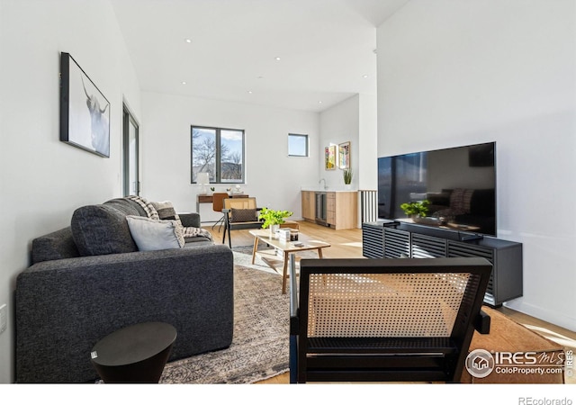 living room featuring light hardwood / wood-style flooring