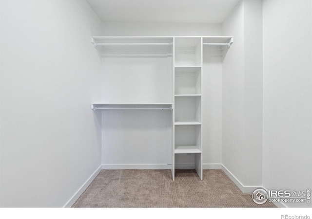 walk in closet featuring light colored carpet