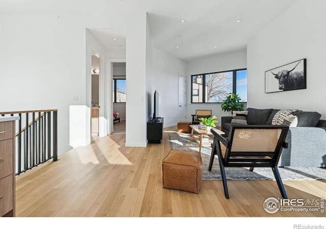 living room featuring light hardwood / wood-style flooring