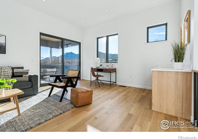 living room with a mountain view and light wood-type flooring