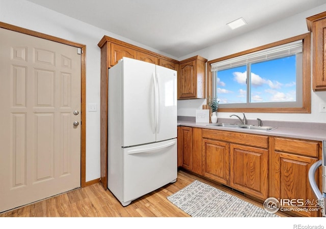 kitchen featuring white refrigerator, light wood-type flooring, and sink