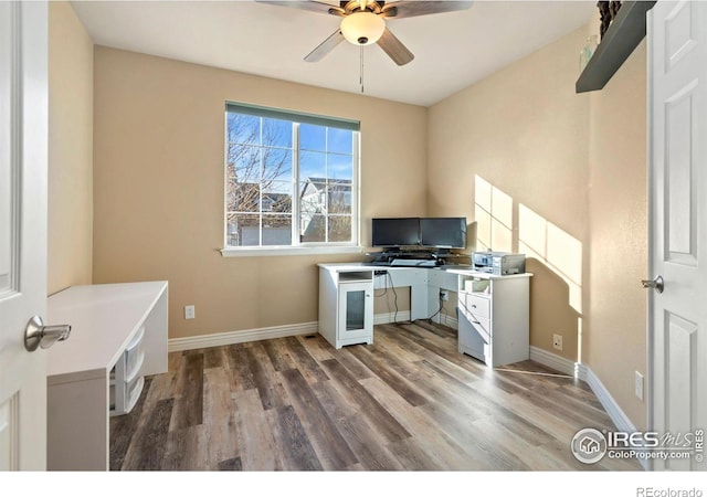 office with ceiling fan and dark hardwood / wood-style floors