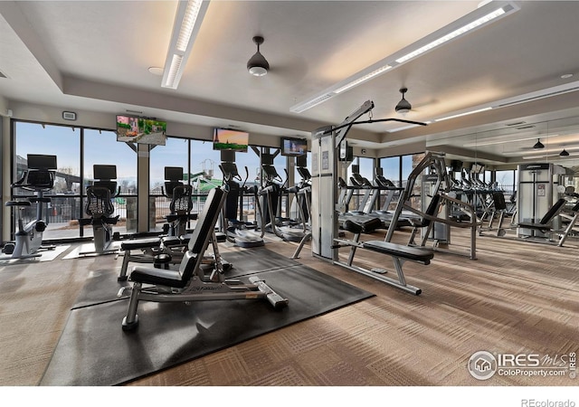 exercise room with ceiling fan and carpet