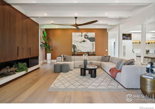 living room featuring ceiling fan, light hardwood / wood-style flooring, and beamed ceiling