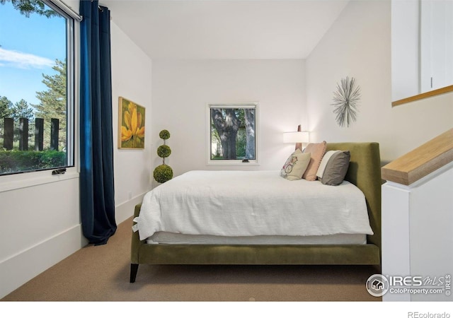 view of carpeted bedroom