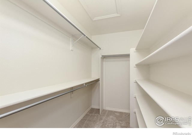 walk in closet featuring light colored carpet