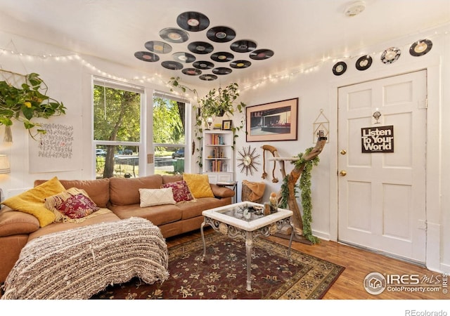 living room with wood-type flooring