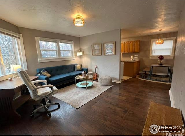 living room with a wealth of natural light and dark hardwood / wood-style floors