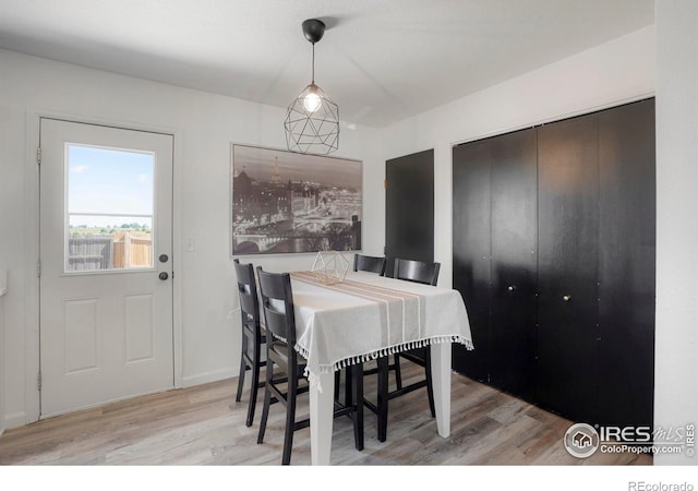 dining area with light hardwood / wood-style floors