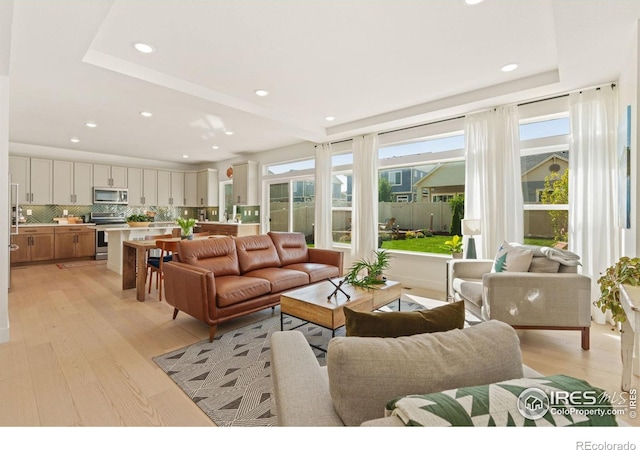 living room with light wood-type flooring