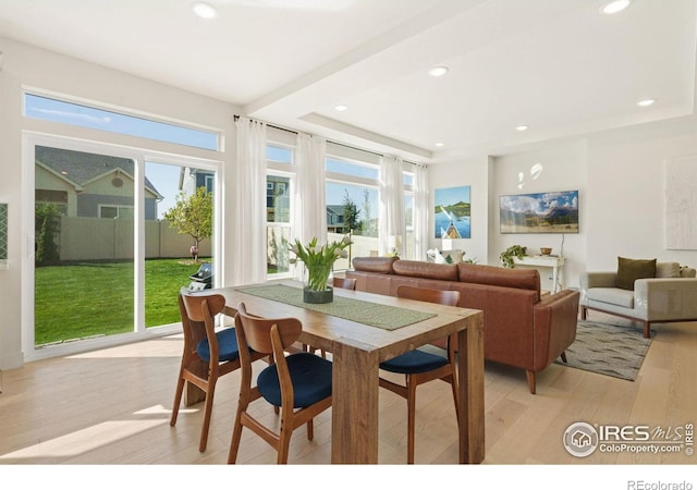 dining space with light hardwood / wood-style flooring and a wealth of natural light