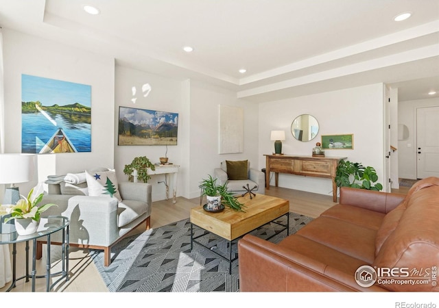 living room with light wood-type flooring and a raised ceiling