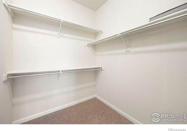 spacious closet with carpet