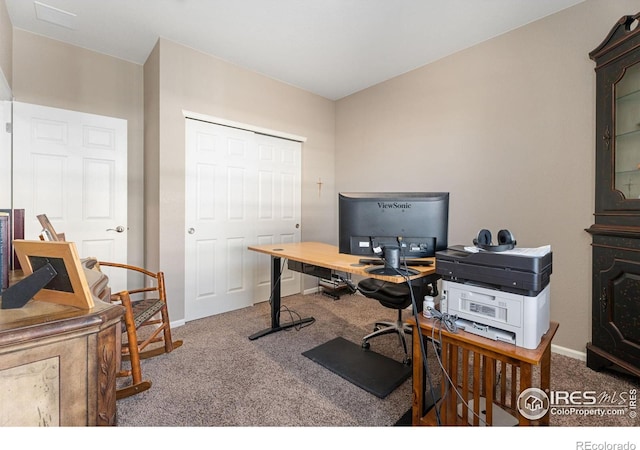 office featuring carpet floors