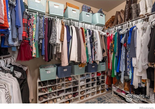 view of spacious closet