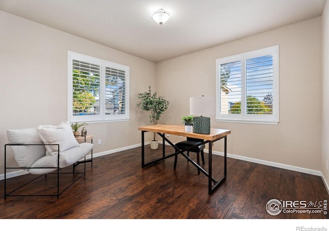 office space with dark hardwood / wood-style floors