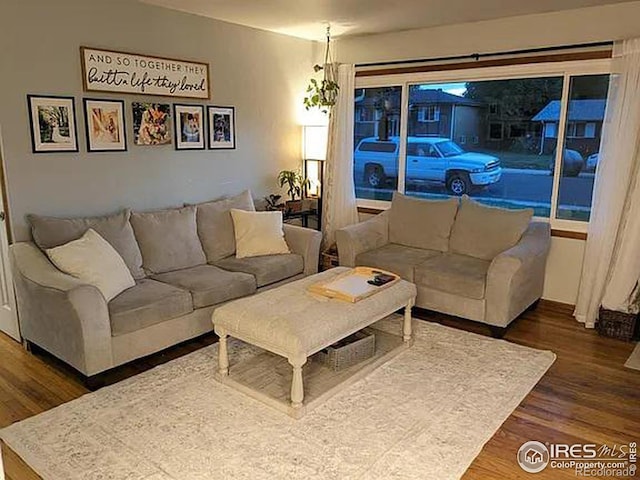 living room featuring dark hardwood / wood-style flooring