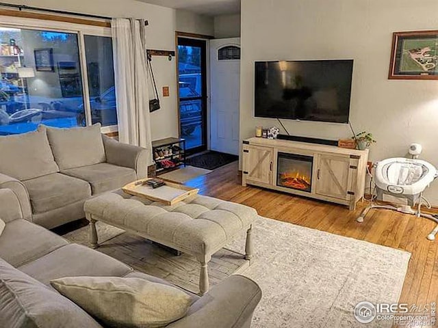 living room featuring light wood-type flooring