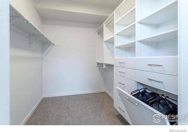 spacious closet featuring light carpet