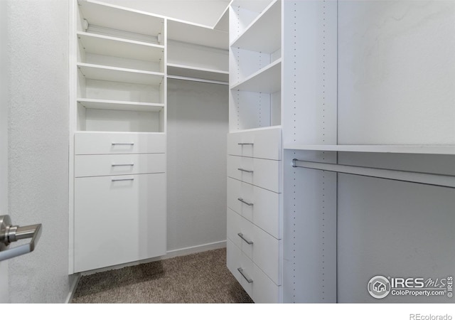 walk in closet featuring dark colored carpet