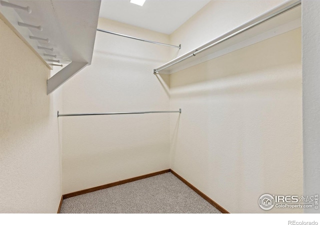 spacious closet with carpet flooring